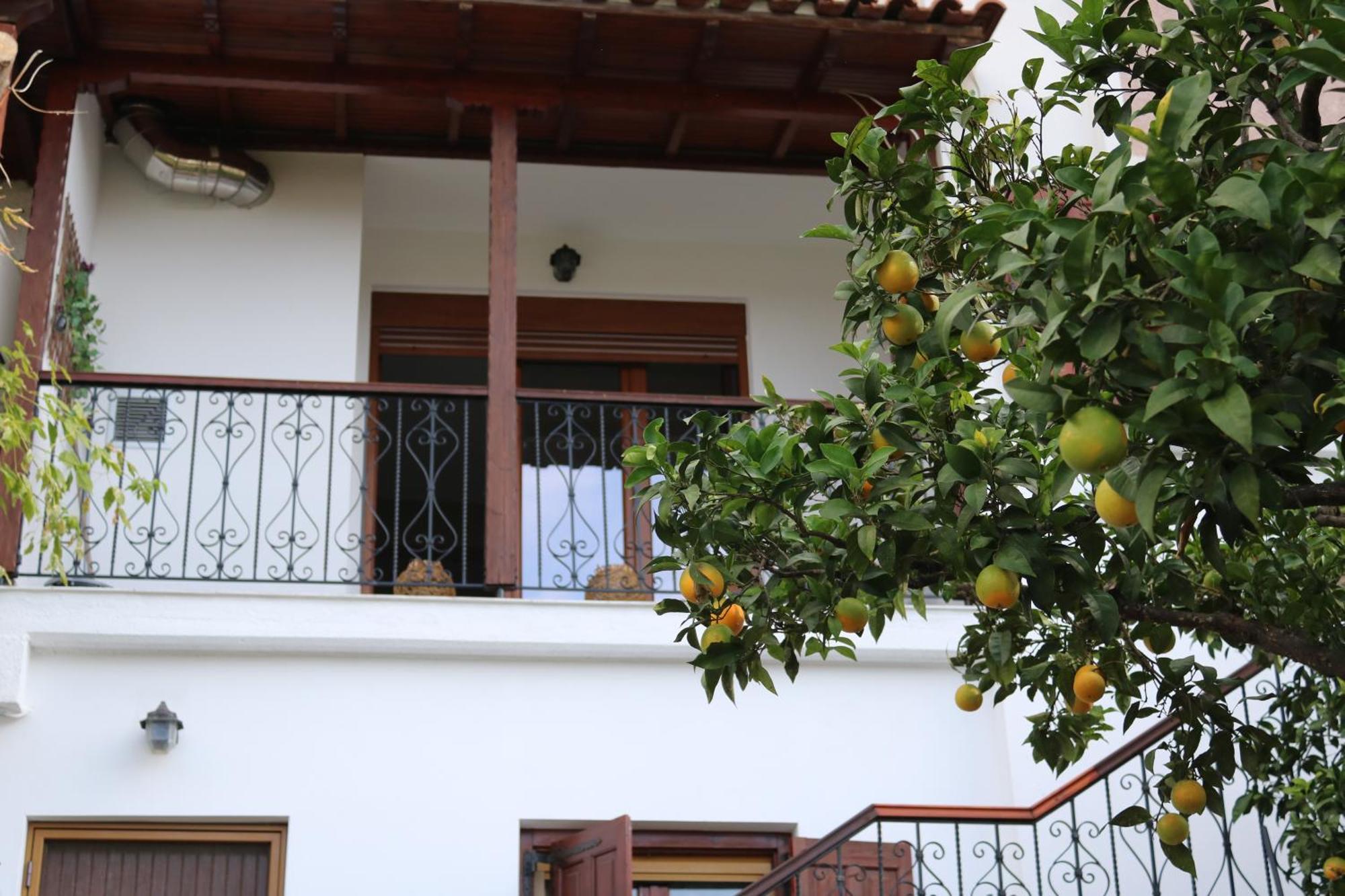 Villa Sofia Marathos  Værelse billede